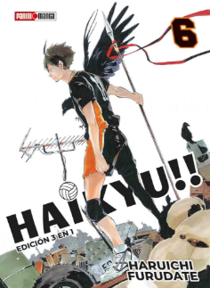 Haikyu N. 6 (3 en 1) Manga